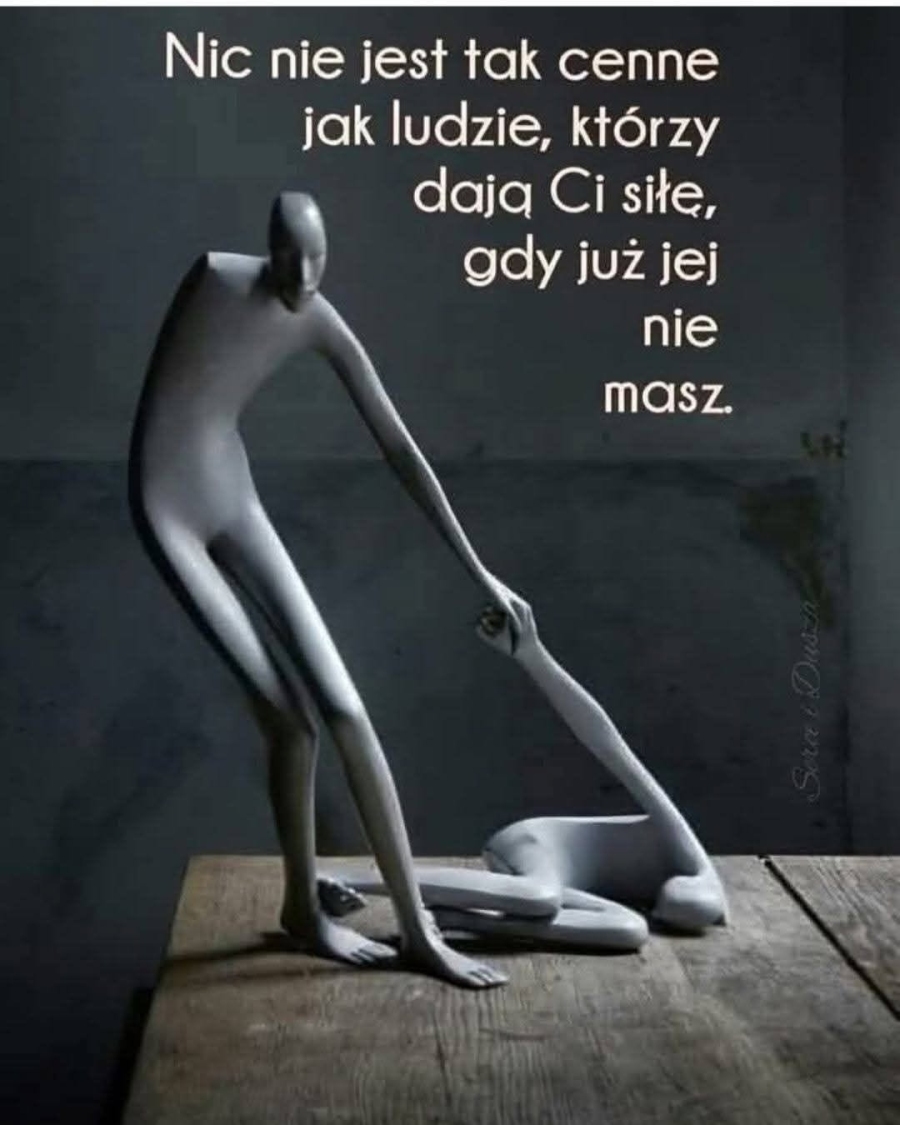 zdjęcie z netu